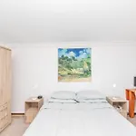 Peaceful 1Bd Flat W Private Gardenrondebosch